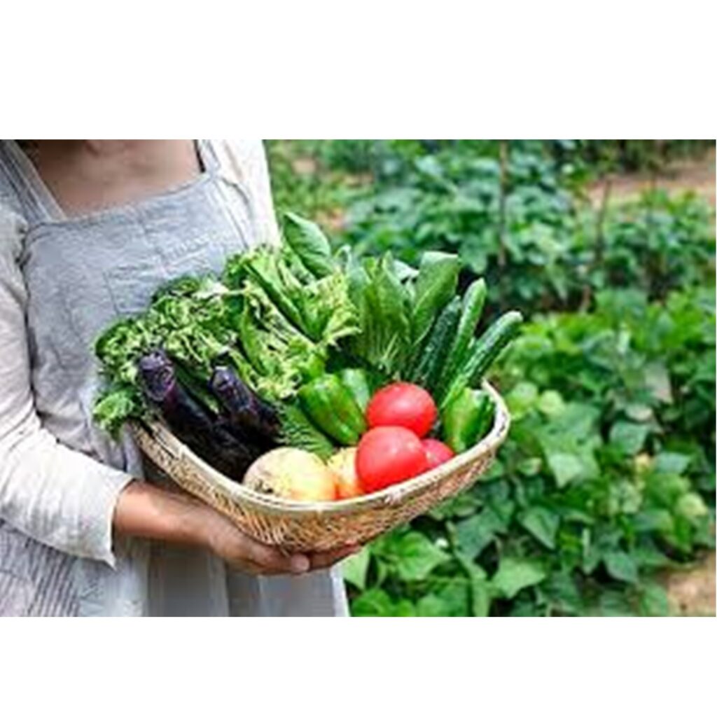 夏野菜